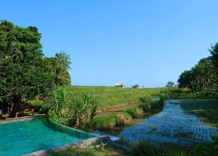 リゾート Puri Taman Sari Selemadeg