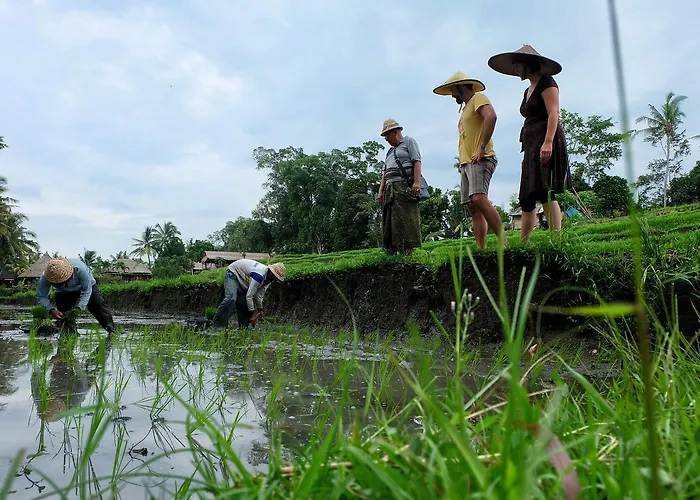 Puri Taman Sari Selemadeg